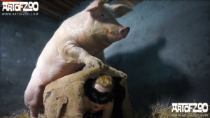 Sex thú cùng với lợn cưng địt nhau hưng phấn